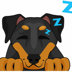 Team Page: Fast & the Furriest